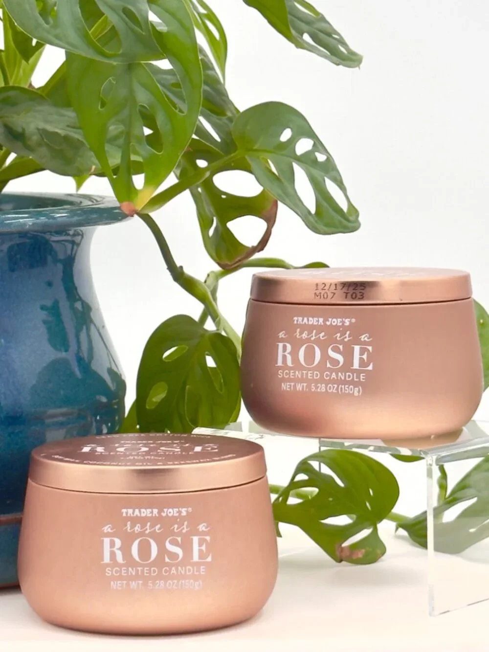 Trader Joe’s ROSE Scented Candle Seasonal LIMITED‎ EDITION 2 PACK 5 oz Floral